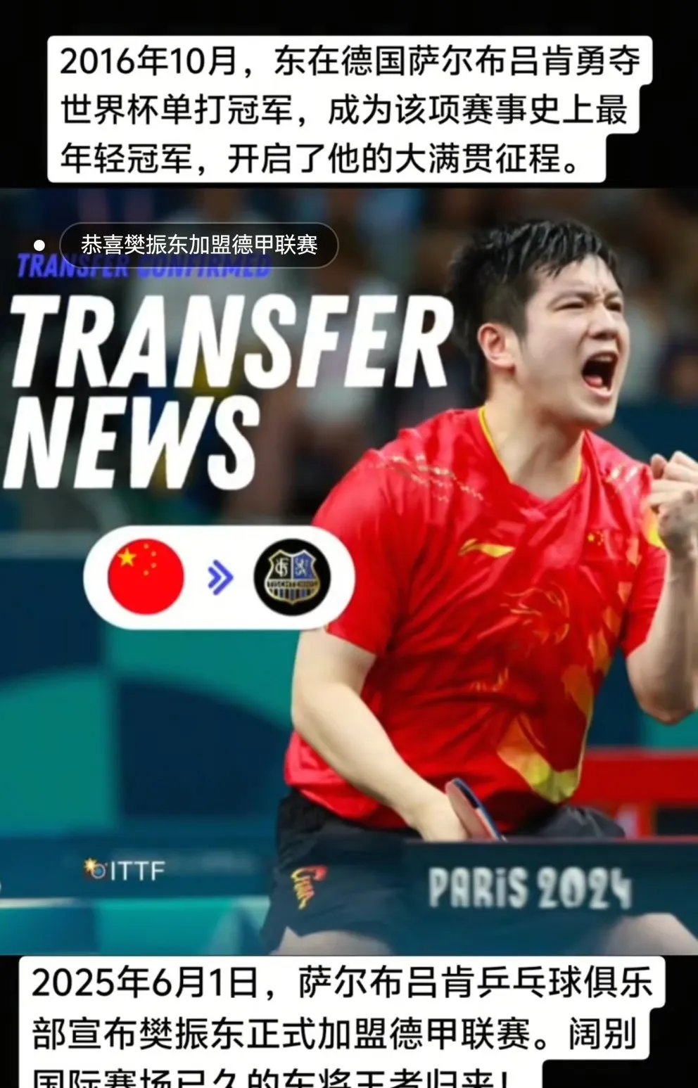 日本乒乓球队逆转波兰乒乓球队,樊振东三分雨点燃全场 日本乒乓球队逆转波兰乒乓球队,樊振东三分雨点燃全场