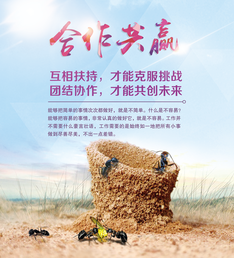 关于四海之内皆兄弟，球队团结一切为了胜利的信息