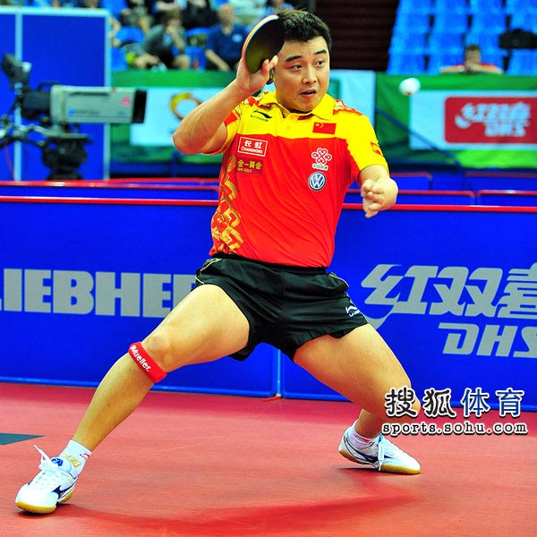 日本队完胜波兰队，王皓统治全场的简单介绍