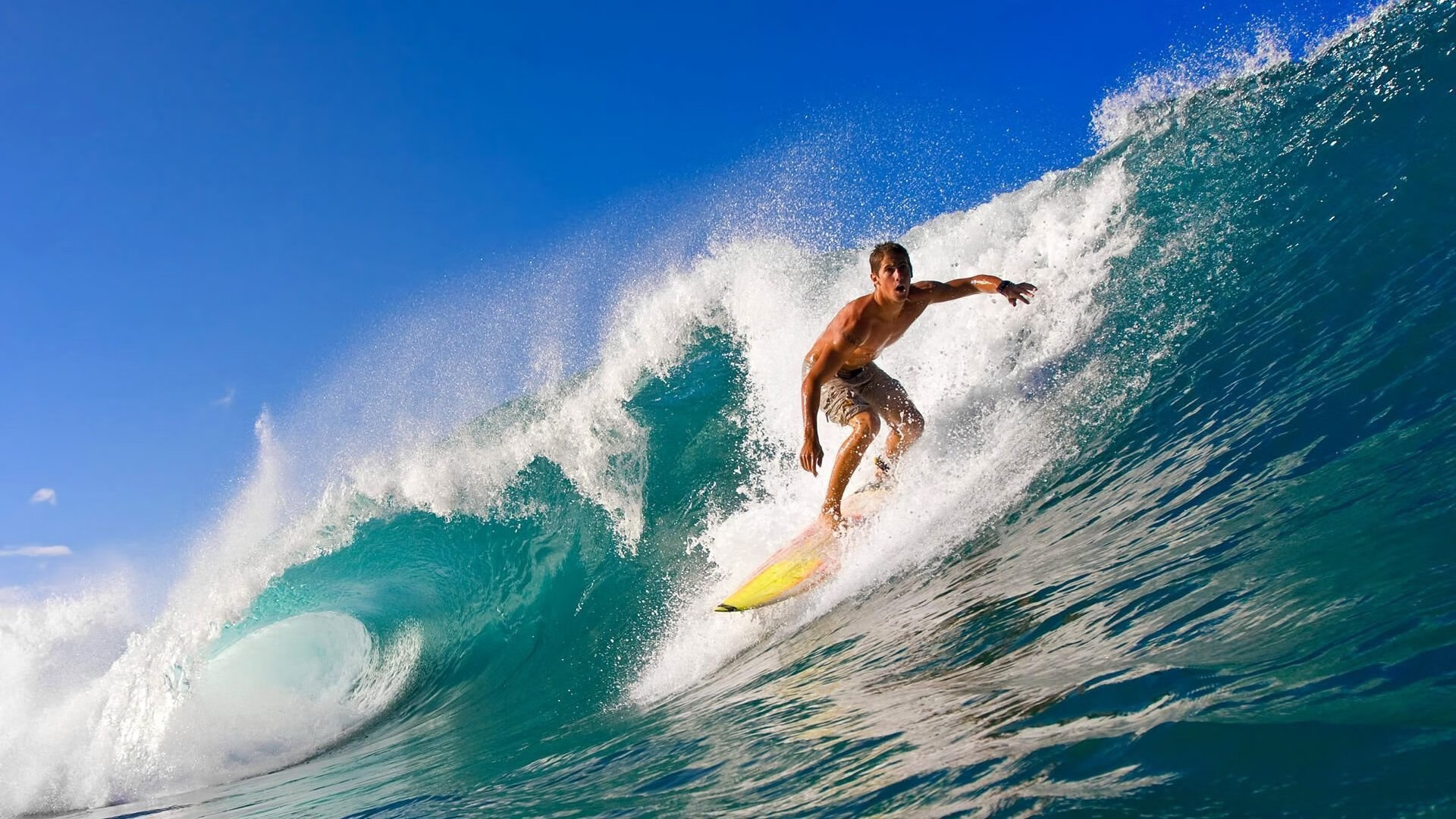 年度焦点之战之夜,德里赫特从争议漩涡到自我救赎的史诗逆转